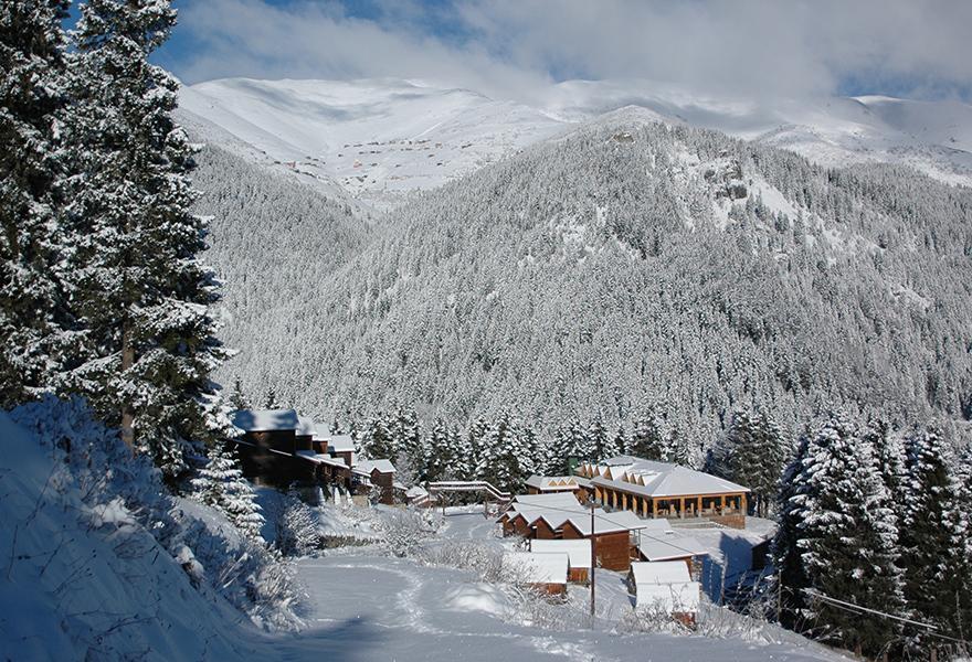 Zitas Zigana Yayla Tatil Koyu Macka 外观 照片