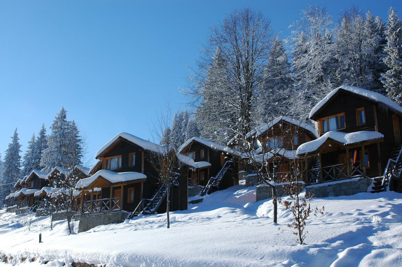 Zitas Zigana Yayla Tatil Koyu Macka 外观 照片