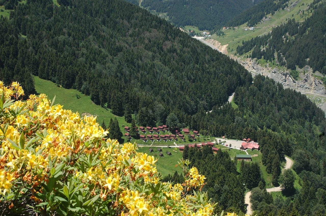 Zitas Zigana Yayla Tatil Koyu Macka 外观 照片