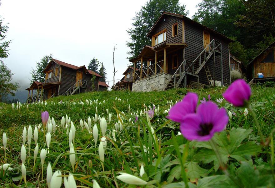 Zitas Zigana Yayla Tatil Koyu Macka 外观 照片