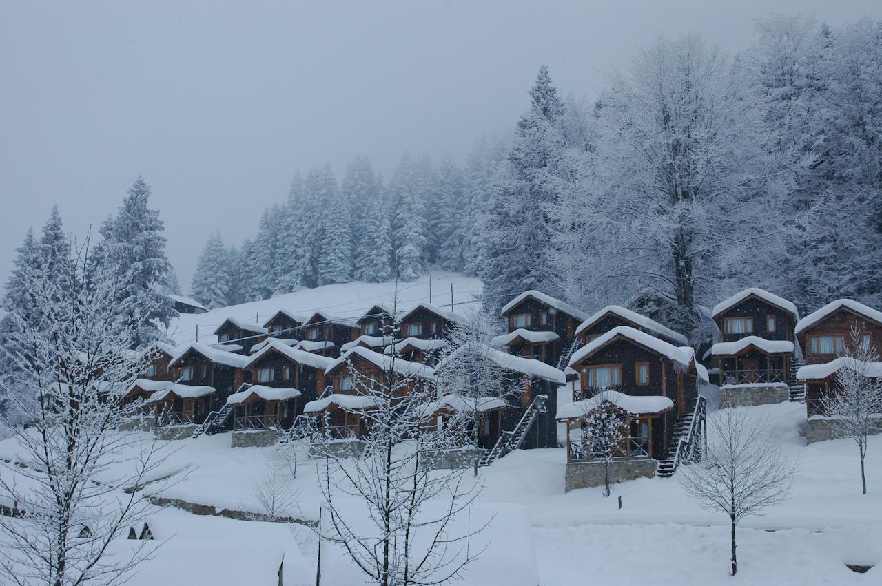 Zitas Zigana Yayla Tatil Koyu Macka 外观 照片