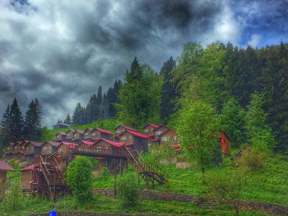Zitas Zigana Yayla Tatil Koyu Macka 外观 照片