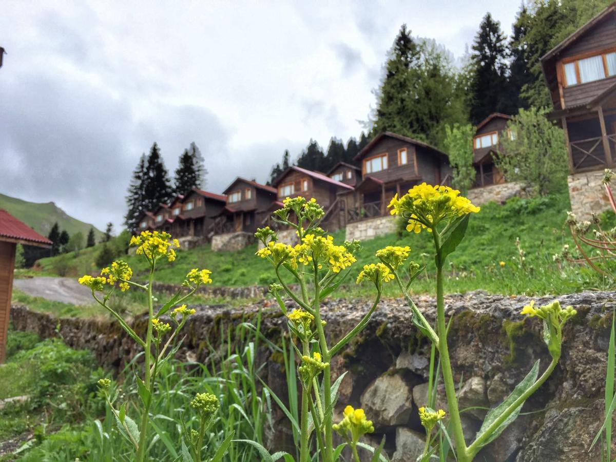 Zitas Zigana Yayla Tatil Koyu Macka 外观 照片