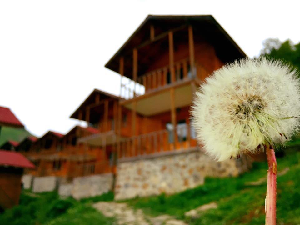 Zitas Zigana Yayla Tatil Koyu Macka 外观 照片